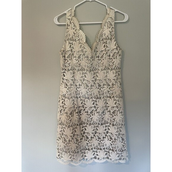 Ann Taylor Cream Lace Overlay Sheath Dress Sleeveless Gray Lining Size 6 Classic - Picture 4 of 7
